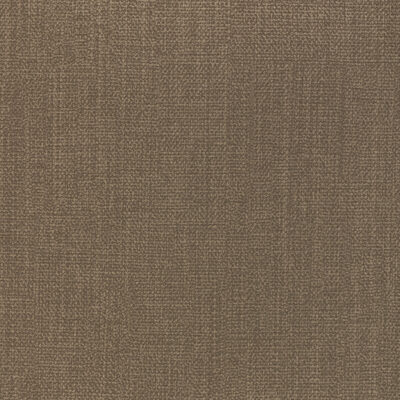 Kravet REMIX BARK