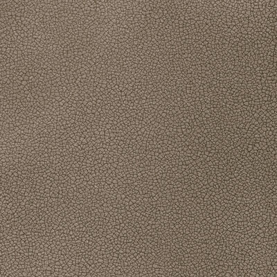 Kravet RESET SHADOW