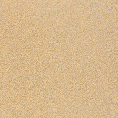 Kravet RESET FOSSIL