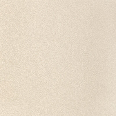 Kravet RESET GLACIER