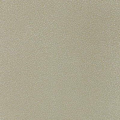 Kravet RESET CASCADE