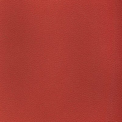 Kravet RESET RASPBERRY