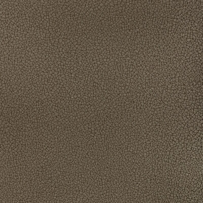 Kravet RESET IRON