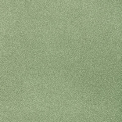 Kravet RESET SPEARMINT
