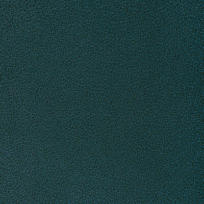 Kravet RESET ODYSSEY