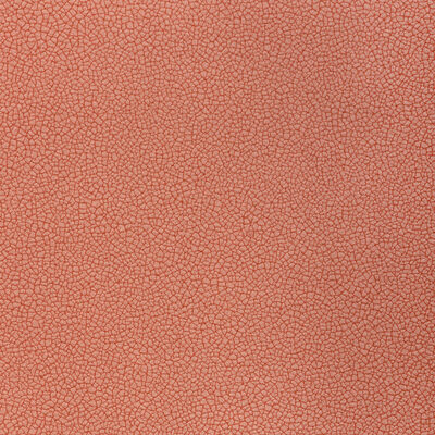 Kravet RESET DOGWOOD