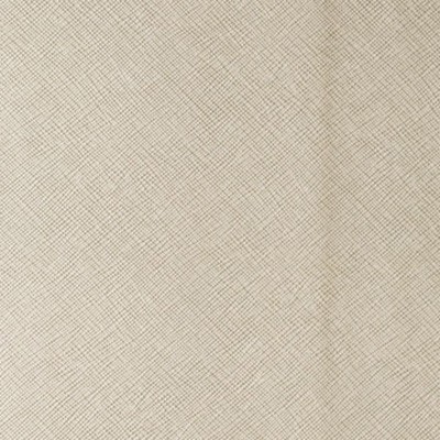 Kravet ROXANNE PEARL MICA