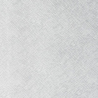 Kravet ROXANNE MOONDANCE