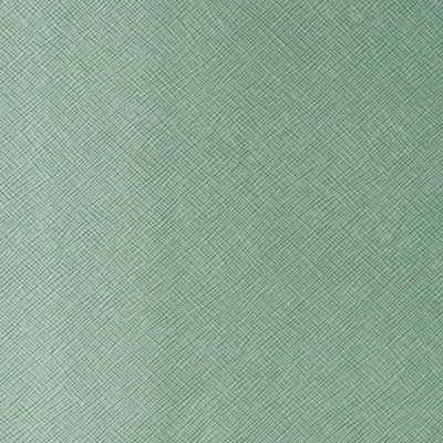 Kravet ROXANNE VERDIGRIS