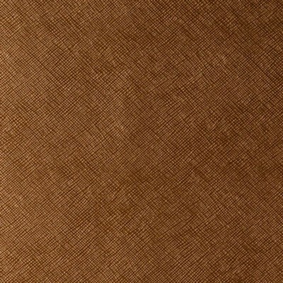 Kravet ROXANNE LUCKY PENNY