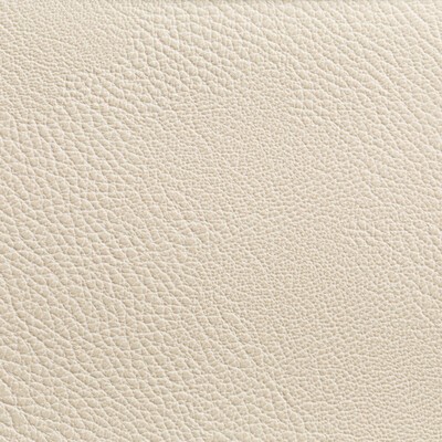 Kravet RUSTLER GYPSUM