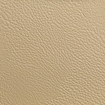 Kravet RUSTLER WHEAT