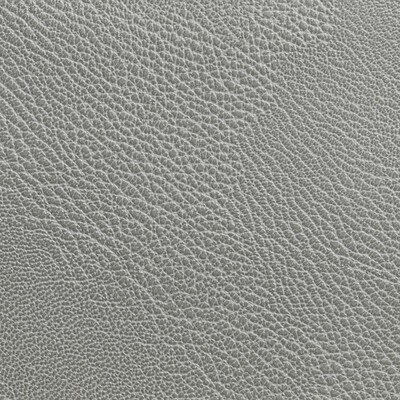 Kravet RUSTLER STORM