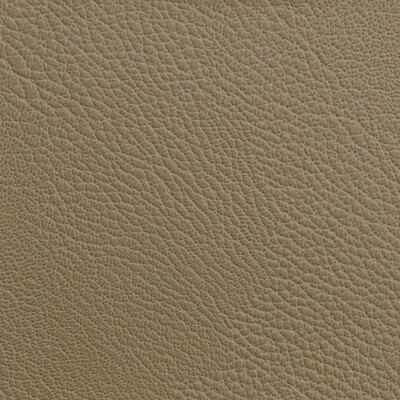 Kravet RUSTLER CASHEW