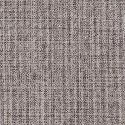 Kravet SCRIMSHAW STINGRAY