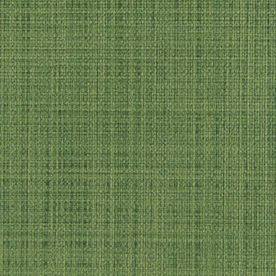 Kravet SCRIMSHAW CACTUS