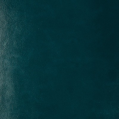 Kravet SEABISCUIT 35