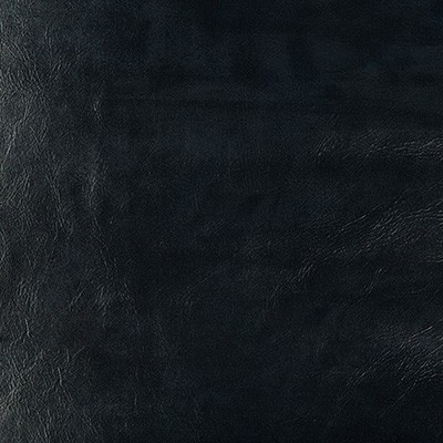 Kravet SEABISCUIT 50