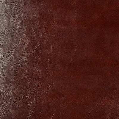 Kravet SEABISCUIT 919