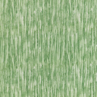 Kravet SENKO GRASS