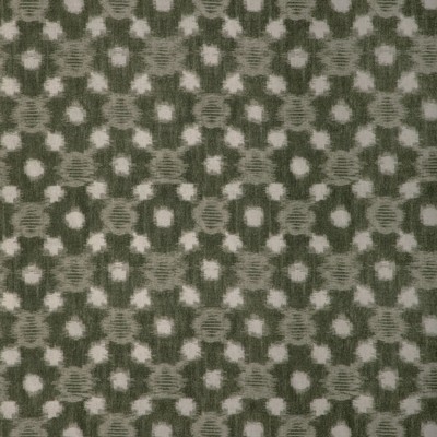 Kravet SIRIDAO MOSS