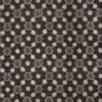 Kravet SIRIDAO CAROB