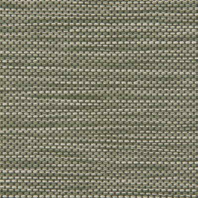 Kravet STITCH CACTUS