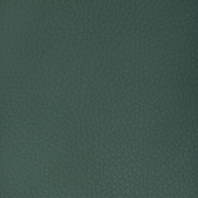 Kravet SUGARMAPLE 3535