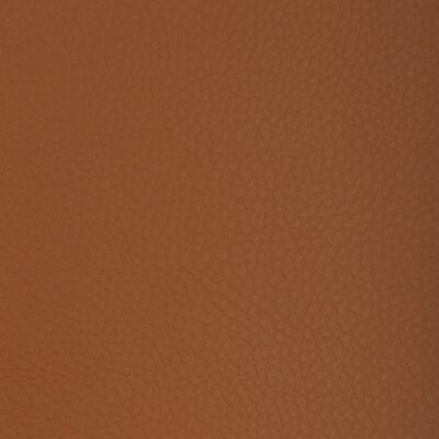 Kravet SUGARMAPLE 612