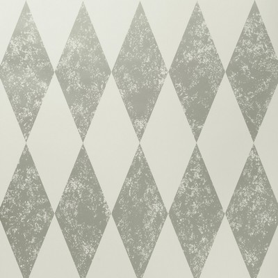 Clarke and Clarke Wallpaper TORTOLA NICKEL