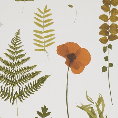 Clarke and Clarke Wallpaper HERBARIUM MULTI/IVORY
