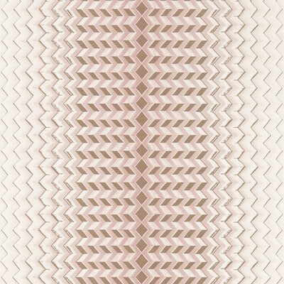 Clarke and Clarke Wallpaper FRAGMENT BLUSH/GOLD WP