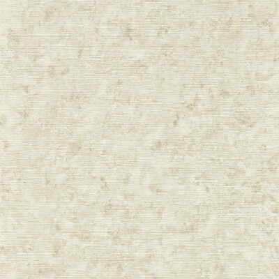 Clarke and Clarke Wallpaper IMPRESSION NATURAL WP