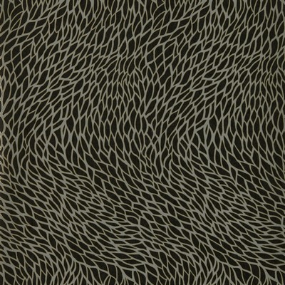 Clarke and Clarke Wallpaper CORALLINO NOIR WP