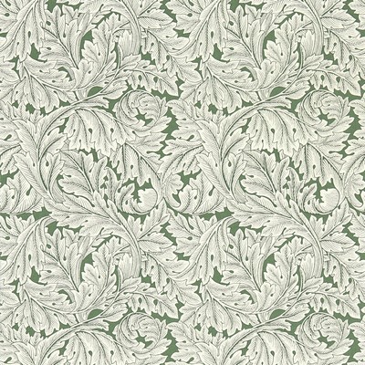 Clarke and Clarke Wallpaper ACANTHUS SAGE WP