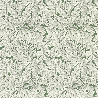 Clarke and Clarke Wallpaper ACANTHUS SAGE WP