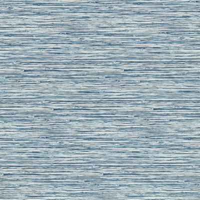 Clarke and Clarke Wallpaper XAN CARIBBEAN WP