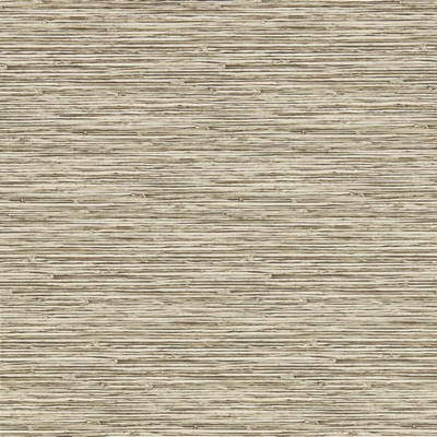 Clarke and Clarke Wallpaper XAN LINEN WP