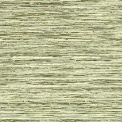 Clarke and Clarke Wallpaper XAN PALM WP