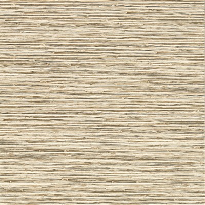 Clarke and Clarke Wallpaper XAN SAHARA WP