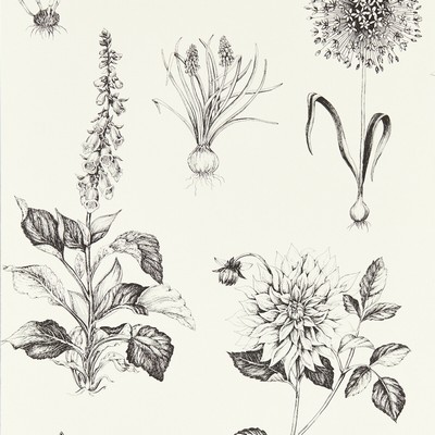 Clarke and Clarke Wallpaper ROSERAIE CHARCOAL WP