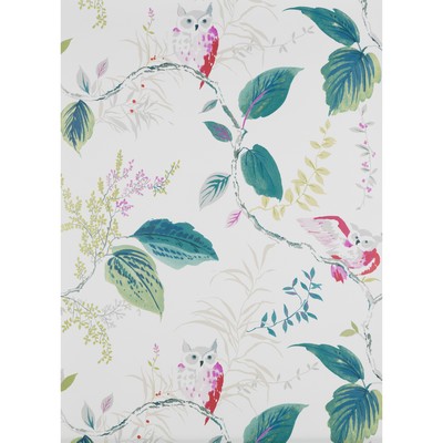 Kravet Wallcovering OWLISH MULTI