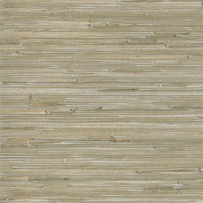Kravet Wallcovering W3560 1611