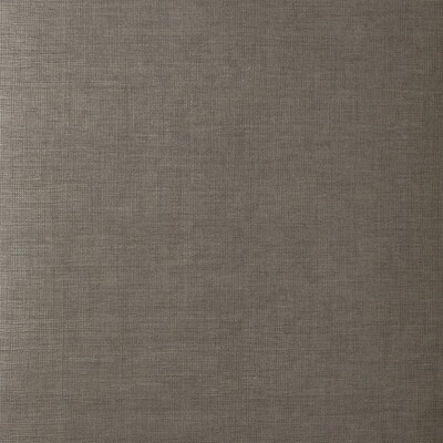 Kravet Wallcovering MUSE SILT