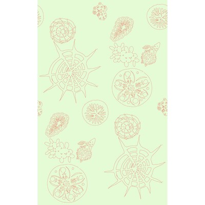 Kravet Wallcovering TELESCOPIC P CORAL SEA