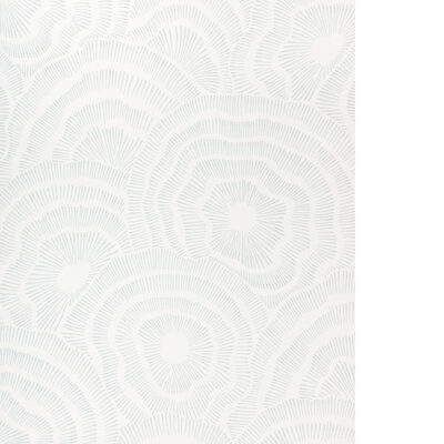 Kravet Wallcovering PANACHE WP SKY