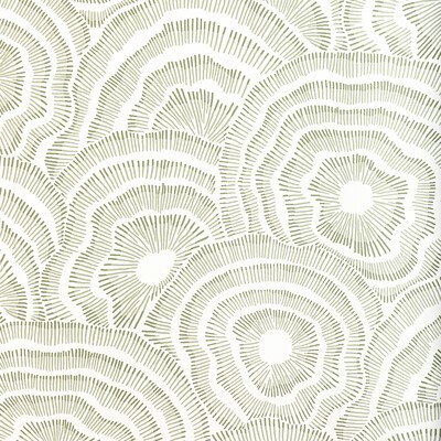 Kravet Wallcovering PANACHE WP LEAF