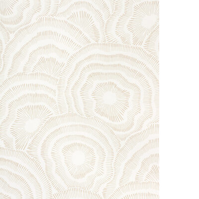 Kravet Wallcovering PANACHE WP NATURAL