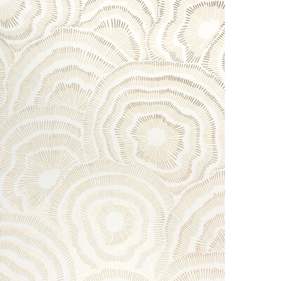 Kravet Wallcovering PANACHE WP CHAMPAGNE