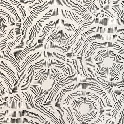 Kravet Wallcovering PANACHE WP NOIR